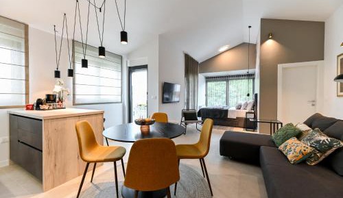 King Studio with Sofa Bed