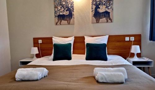 King Room - Disability Access