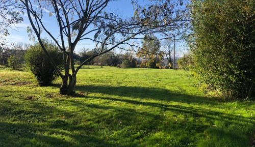 Double Room with Garden View