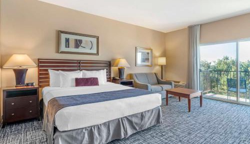 King Room with View - Disability Access