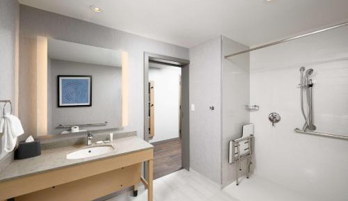 King Room with Roll-In Shower - Disability Access