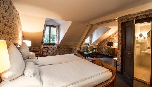 Deluxe double room with forest view