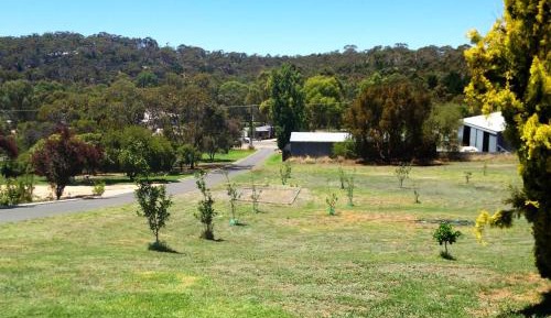 Queen and Single Room