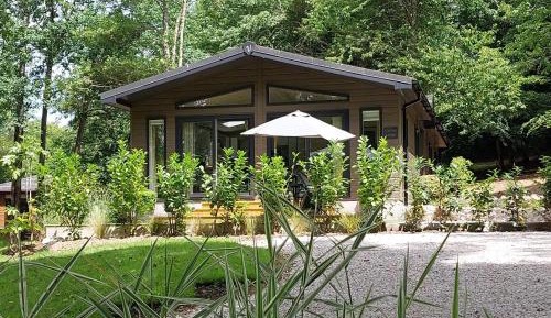 Two-Bedroom Standard Apartment