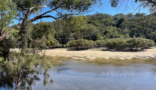 One-Bedroom Apartment with View