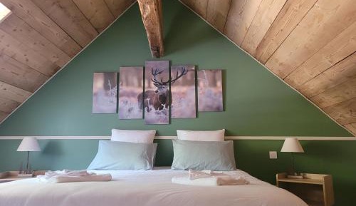 Double or Twin Room with Private Bathroom