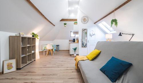 Studio with Sofa Bed