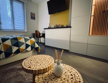 Studio with Sofa Bed