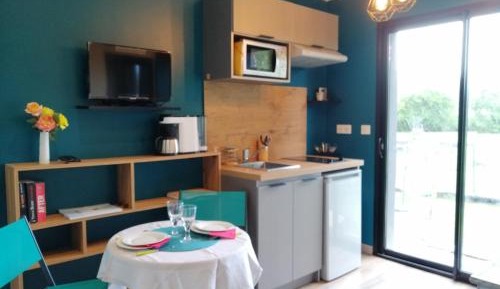 Studio Apartment