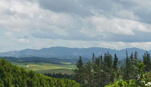 Queen Room with Garden View