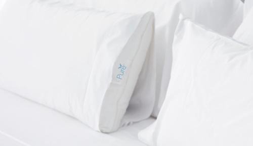 One-Bedroom King Suite - Allergy-Friendly with Sofa Bed
