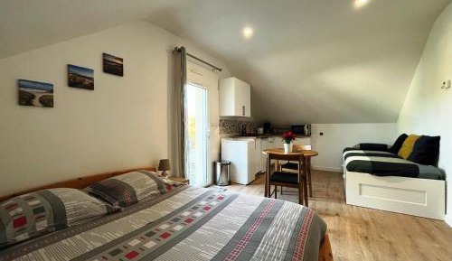 Studio with Garden View