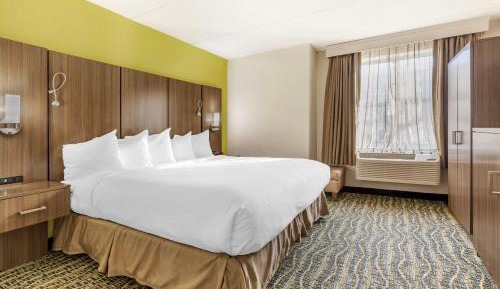 King Room with Roll-In Shower - Mobility Access