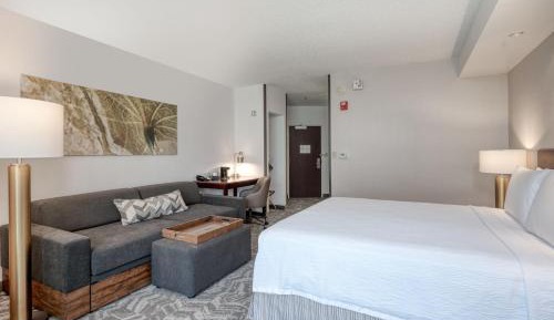 King Suite with Roll-In Shower and Trundle Sofa - Mobility Access/Communication Assistance