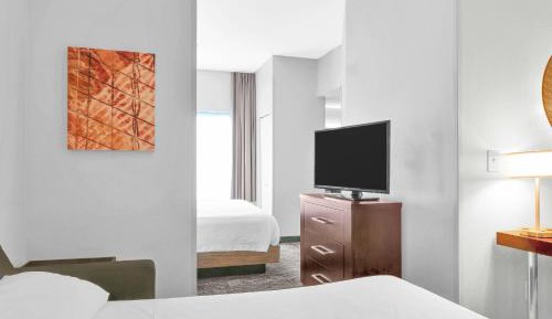 King Studio Suite with Sofa Bed