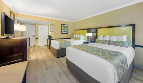 Queen Room with Two Queen Beds