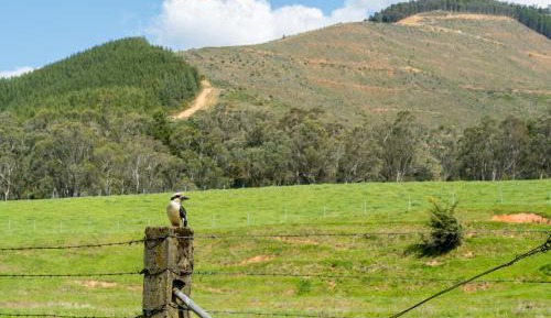 Heritage Twin room with Shared Bathroom