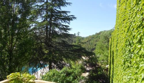 One-Bedroom Apartment with Terrace