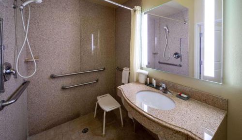 King Room with Roll-In Shower - Mobility/Hearing Accessible - Non-Smoking