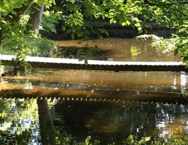 Double Room with Pool View