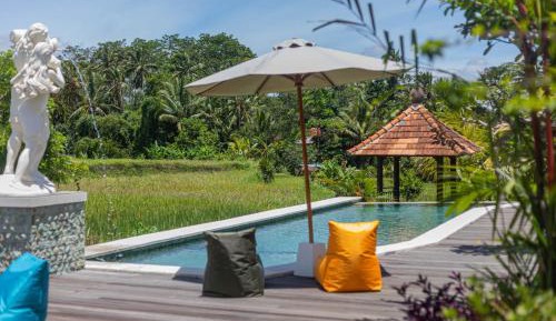 King Room with Garden View