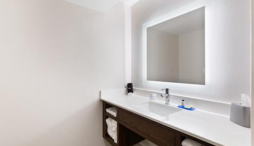 One-Bedroom King Suite