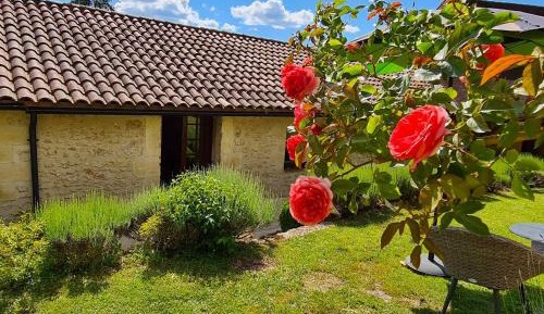 Superior Double or Twin Room with Terrace