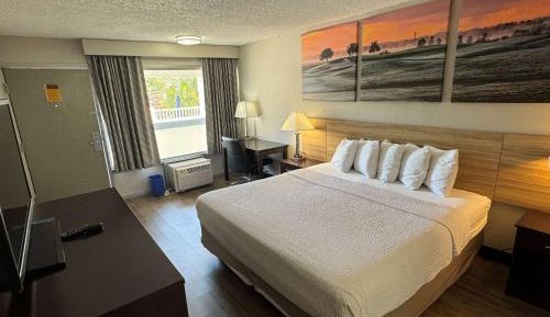 1 King Bed, Mobility/Hearing Impaired Accessible Room, Roll-in Shower, Non-Smoking