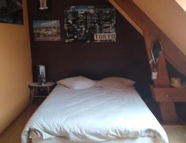 Family Room with Garden View