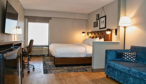 Guest room, 1 King, Sofa bed