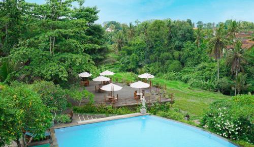 Suite Pool View with Balcony