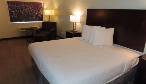 King Room with Walk-in Shower - Mobility Accessible/Non-Smoking