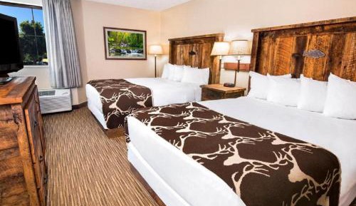 Standard Double Room