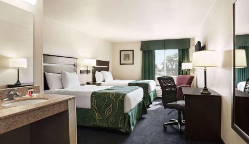 Queen Room with Two Queen Beds - Non-Smoking