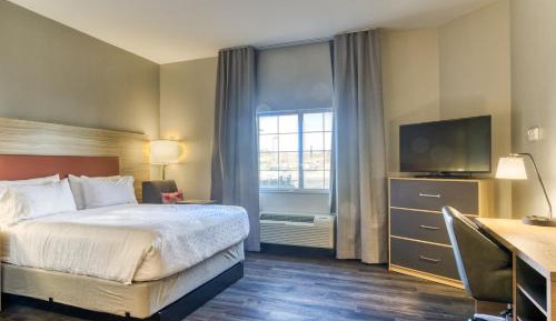 Studio Queen Suite
