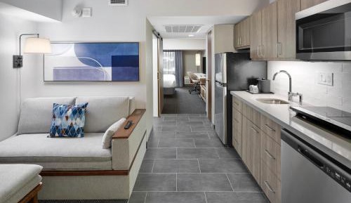 Large King Studio with Kitchen and Sofa Bed