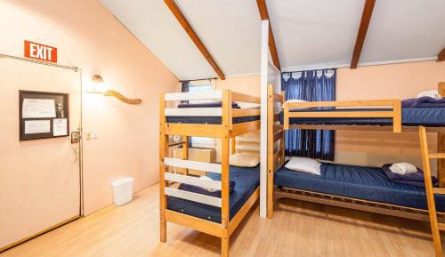 Bed in Women's 16-Bed Dormitory
