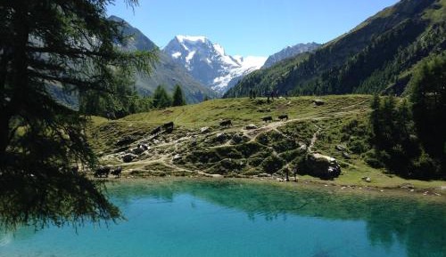 Apartment with Mountain View