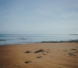 Apartment with Garden View