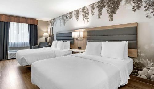 Queen Room with Two Queen Beds - Non-Smoking