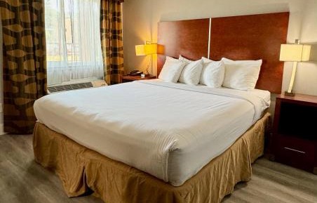 King Room - Non-Smoking