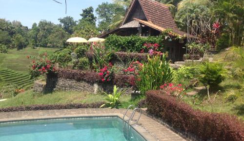 Bungalow with Garden View