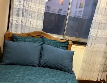 Bunk Bed in Male Dormitory Room 