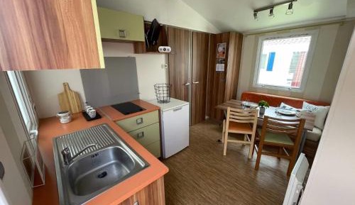 Mobile Home