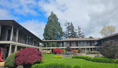 King Room with Garden View