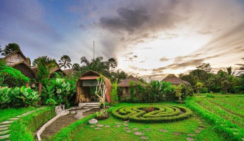 Suite with Rice Field View