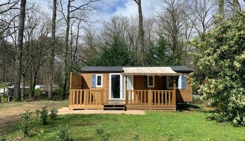 Mobile Home