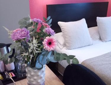 Cozy Double Room