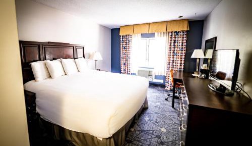 Deluxe King Suite