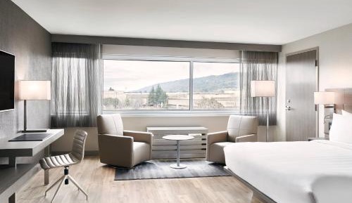 Deluxe King Room with Mountain View